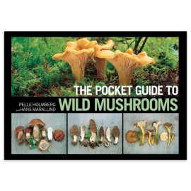 Pocket Guide To Wild Mushrooms